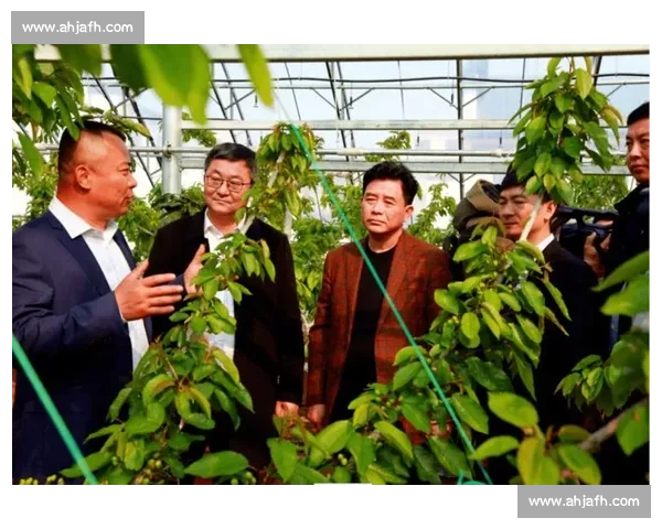 凯斯格兰强强联合 示范智慧播种新标杆